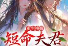 《重生换嫁:短命夫君归我喽》小说大结局免费试读 沈岁安陆渊小说-艾米文学