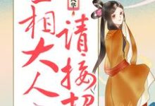 哪里可以免费找到庶女风华:丞相大人请接招?-艾米文学