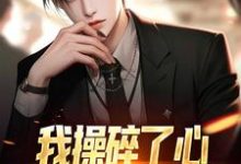小说《我操碎了心,你们却只顾养子?》章节阅读-艾米文学