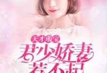 天才萌宝：君少娇妻惹不起免费阅读，天才萌宝：君少娇妻惹不起章节在线阅读-艾米文学