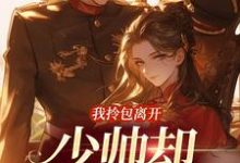 完结版《我拎包离开，少帅却穷追不舍》章节阅读-艾米文学