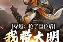 免费看穿越：抢了皇位后，我带大明起飞小说的网站有哪些？-艾米文学