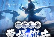 辅佐刘备,曹操你去摸鱼吧小说无弹窗阅读的网站推荐-艾米文学