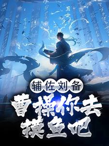 辅佐刘备，曹操你去摸鱼吧小说无弹窗阅读的网站推荐