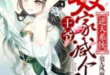 完结版《逆天系统：王爷，奴家减个肥》章节阅读-艾米文学