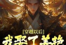 穿越以后，我娶了美艳宗主当老婆小说最新更新在哪里？免费在线看-艾米文学