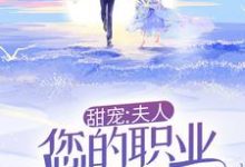 许时漾周砚京小说甜宠：夫人，您的职业操守呢！在线阅读-艾米文学