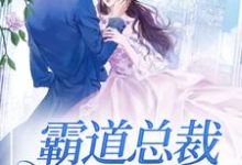 小说《霸道总裁求抱抱》在线章节阅读-艾米文学