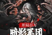 开局百万暗影军团！缔造不朽帝朝楚渊渊帝在线章节免费阅读-艾米文学
