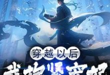 季今宵小说穿越以后，我抱紧宠妃姐姐的大腿在线阅读-艾米文学