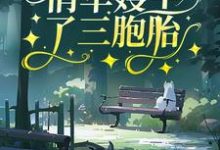 小说《七零:俏军嫂生了三胞胎》章节免费阅读-艾米文学
