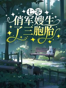 小说《七零：俏军嫂生了三胞胎》章节免费阅读