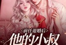 前任退婚后,他的小叔宠我上天小说的无弹窗阅读体验,寻找免费阅读网站-艾米文学
