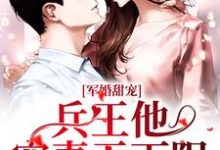 军婚甜宠:兵王他宠妻无下限这本小说怎么样?免费在线阅读试试-艾米文学