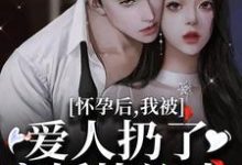 已完结小说《怀孕后,我被爱人扔了离婚协议书》章节在线阅读-艾米文学