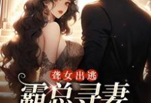 完结版《聋女出逃，霸总寻妻惊动全城》章节目录在线阅读-艾米文学