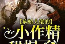 小说《病娇大佬的小作精甜爆了》章节阅读-艾米文学