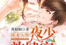 《诱妻入怀:夜少,放肆宠》小说章节列表免费试读,顾倾城夜溟顾可儿小说在线阅读-艾米文学
