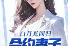 白月光回归，合约妻子和我离婚了林默沈幼楚，白月光回归，合约妻子和我离婚了章节在线阅读-艾米文学