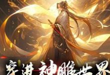 求穿进神雕世界，我成武林至尊小说免费资源-艾米文学