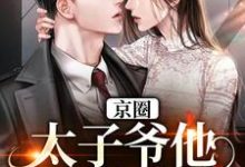 京圈太子爷他是恋爱萌新小说全文哪里可以免费看?-艾米文学