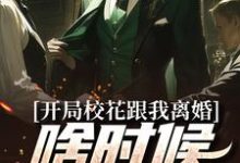 完结版《开局校花跟我离婚,啥时候结的婚?》章节阅读-艾米文学