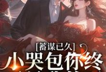 蓄谋已久,小哭包你终于是我的了这本小说在哪里可以看?哪里有免费试读章节?-艾米文学