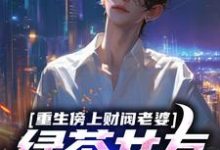 重生傍上财阀老婆，绿茶女友悔哭小说的免费阅读版本在哪里可以找到？-艾米文学