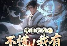 武道太卷？不慌！我有系统加身最新章节，武道太卷？不慌！我有系统加身免费阅读-艾米文学