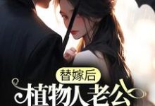 替嫁后，植物人老公意识恢复了洛北时霍辞霄小说免费阅读-艾米文学