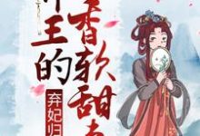 求弃妃归来:邪王的香软甜妻小说的全文免费阅读链接-艾米文学