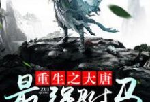 房遗爱高阳秦京娘小说在线章节免费阅读（重生之大唐最强驸马无弹窗无删减）-艾米文学