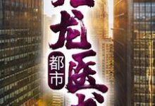 《都市：九龙医书》小说章节列表免费试读，陈川林雪小说在线阅读-艾米文学