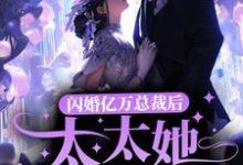 小说《闪婚亿万总裁后,太太她成了白富美》章节免费阅读-艾米文学