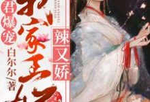 邪君爆宠：我家王妃辣又娇小说无弹窗阅读的网站推荐-艾米文学