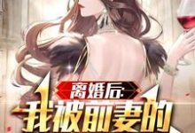 在线寻找离婚后：我被前妻的天后闺蜜倒追小说的无删减版本-艾米文学