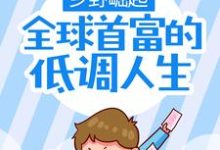 小说《乡野崛起：全球首富的低调人生》在线章节阅读-艾米文学