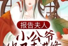 报告夫人,小公爷他又去进修男德了顾樱赵长渡在线章节免费阅读-艾米文学