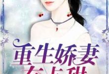 重生娇妻有点甜小说免费资源,重生娇妻有点甜在线阅读-艾米文学
