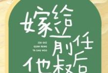 嫁给前任他叔后,我成了团宠小说的所有章节都能在哪里免费读到?-艾米文学