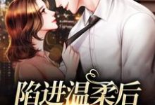 求陷进温柔后，他宠上瘾了小说免费资源-艾米文学