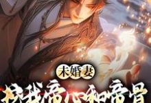未婚妻挖我帝心和帝骨，我黑化了小说，未婚妻挖我帝心和帝骨，我黑化了免费阅读-艾米文学