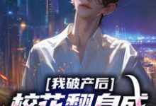 我破产后，校花翻身成总裁要养我？小说最新更新在哪里？免费在线看-艾米文学