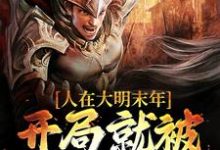人在大明末年，开局就被暗杀活埋周建安崇祯小说在线章节目录阅读最新章节-艾米文学