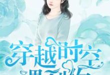 辛叶梓李世吴楠小说完结版在线阅读，穿越时空遇到你免费看-艾米文学