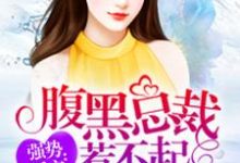 腹黑总裁惹不起这本小说怎么样?免费在线阅读试试-艾米文学