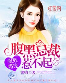 腹黑总裁惹不起这本小说怎么样？免费在线阅读试试
