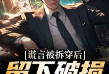 谎言被拆穿后，留下破损的婚姻小说完结版章节免费阅读-艾米文学