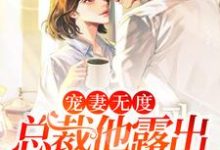 颜初宋宴回小说叫什么(宠妻无度:总裁他露出狐狸尾巴了免费阅读)-艾米文学