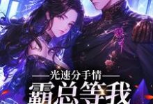 小说《光速分手,霸总等我给名分》在线章节阅读-艾米文学